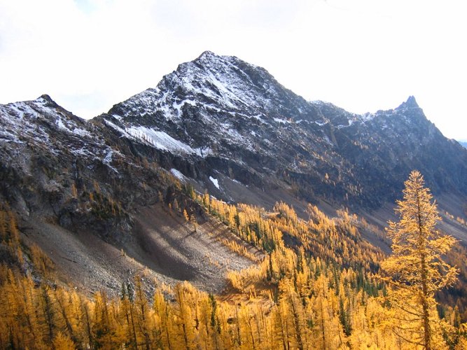 The route up Gopher starts at Saska Pass, which is off the left-hand edge of this picture.
Then it runs along the crest of the peak to the high point in the center.